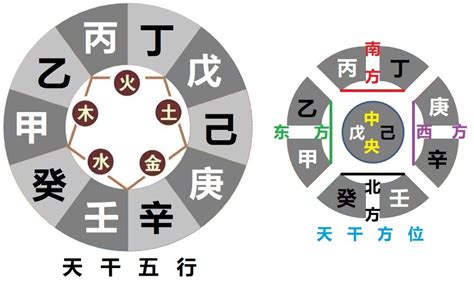 甲木和乙木|「四柱八字」十天干的五行属性和阴阳属性